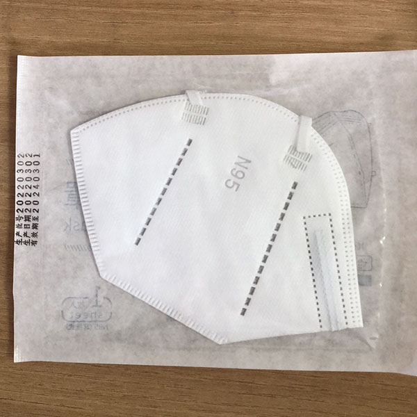 Protective Mask